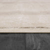 Dynamic Rugs Whistler 7124 Ivory/Grey Area Rug Detail