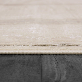 Dynamic Rugs Whistler 7124 Ivory/Grey Area Rug Detail