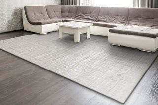 Dynamic Rugs Whistler 7125 Ivory/Grey Area Rug Room Scene Feature