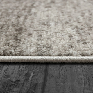 Dynamic Rugs Zahara 4412 Grey/Charcoal Area Rug