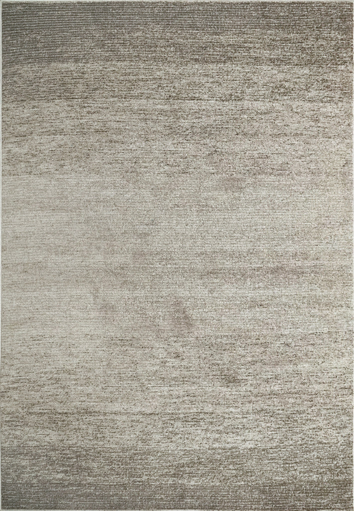 Dynamic Rugs Zahara 4412 Grey/Charcoal Area Rug