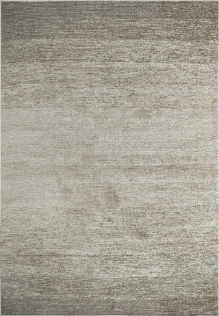 Dynamic Rugs Zahara 4412 Grey/Charcoal Area Rug