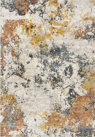 Dynamic Rugs Zahara 4414 Multi Area Rug