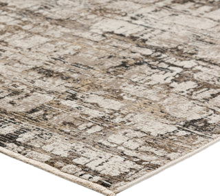 Dalyn Denizi DZ3 Putty Area Rug 