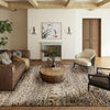 Dalyn Denizi DZ6 Mocha Area Rug 