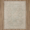 Karastan Surrey Hills Eastbourne Beachglass Area Rug Main Image