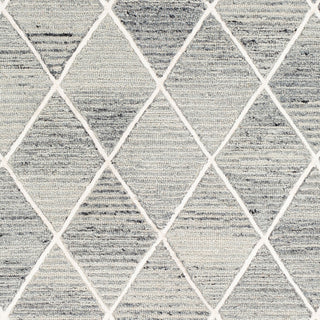 Surya Eaton EAT-2302 Area Rug Swatch