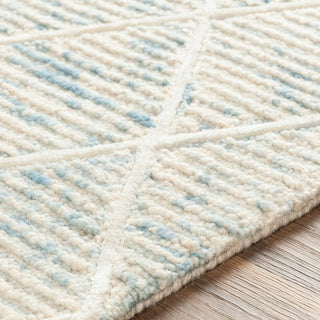 Surya Eaton EAT-2304 Area Rug Detail