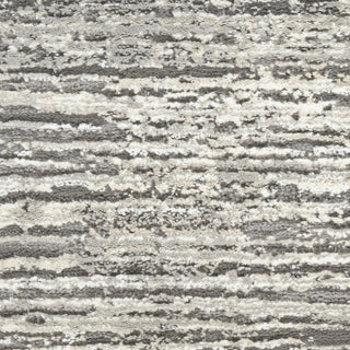 Nourison Eco-Friendly ECO01 Ivory Grey Area Rug Swatch Image