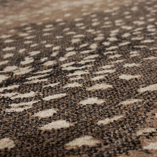 Karastan Utopia Eden Antelope Area Rug Lifestyle Image Feature
