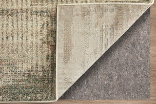 Feizy Eden 39QWF Ivory/Gray/Green Area Rug Detail Image