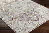 Livabliss Edmonton EDO-2300 Area Rug