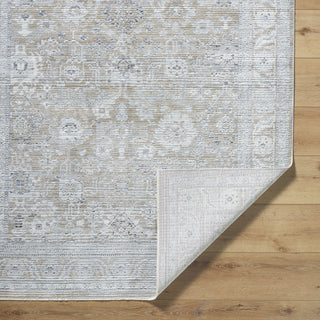 Livabliss Edmonton EDO-2309 Area Rug by Surya Pile