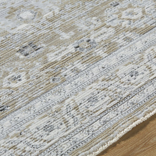 Livabliss Edmonton EDO-2309 Area Rug by Surya Detail