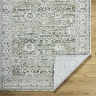 Livabliss Edmonton EDO-2311 Light Gray Area Rug Pile