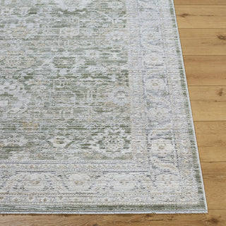 Livabliss Edmonton EDO-2311 Light Gray Area Rug Angle