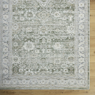 Livabliss Edmonton EDO-2311 Light Gray Area Rug 