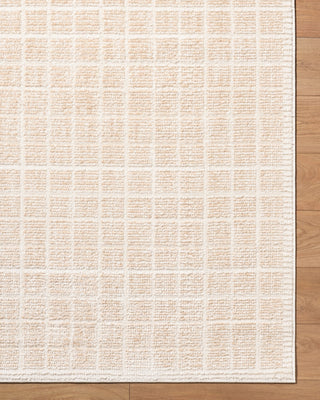 Elle Decor x Livabliss Odeon EDOD-2300 Light Beige Area Rug Overhead Image