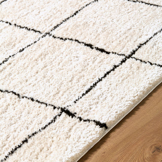 Elle Decor X Livabliss Rivoli EDRV-2300 Area Rug Detail