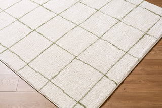 Elle Decor X Livabliss Rivoli EDRV-2301 Area Rug Corner Shot