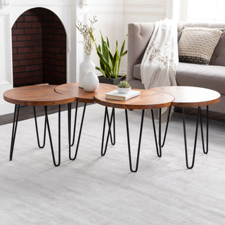 Surya Selene EEE-002 Dark Brown / Black Furniture Style Shot