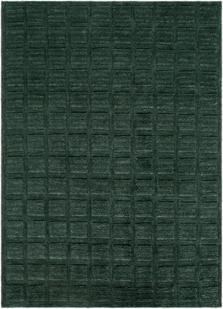 Livabliss Eleve EEV-2302 Machine Washable Area Rug main image