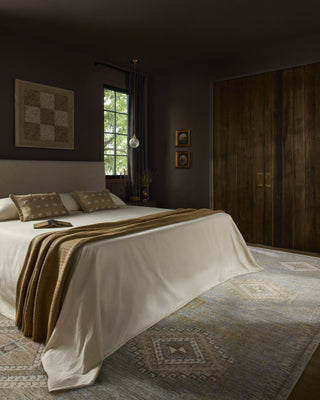 Loloi Elora ELR-09 Sky / Multi Area Rug Lifestyle Image Feature