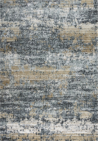 Rizzy Elite ELT898 Light Gray Area Rug