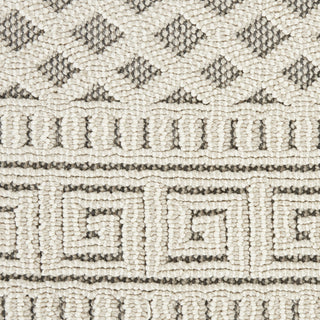Nourison Elwood ELW05 Ivory/Grey Area Rug Swatch Image