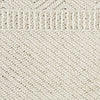 Nourison Elwood ELW06 Ivory Area Rug Swatch Image