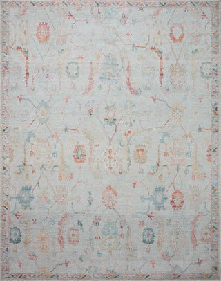 Loloi Elysium ELY-01 Pebble/Multi Area Rug main image
