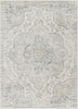 Livabliss Elaziz ELZ-2371 Light Grey Area Rug