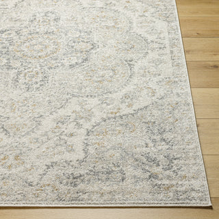 Livabliss Elaziz ELZ-2371 Light Grey Area Rug