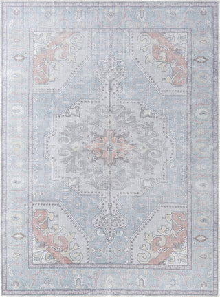 Livabliss Embrace EMA-2307 Area Rug