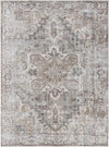 Livabliss Embrace EMA-2308 Area Rug