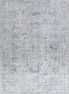 Livabliss Embrace EMA-2309 Area Rug