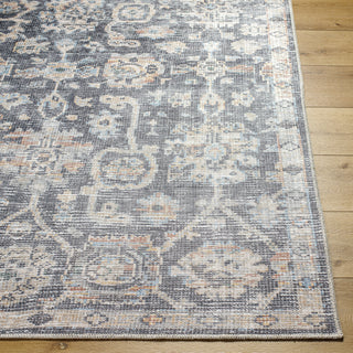 Surya Embrace EMA-2310 Area Rug