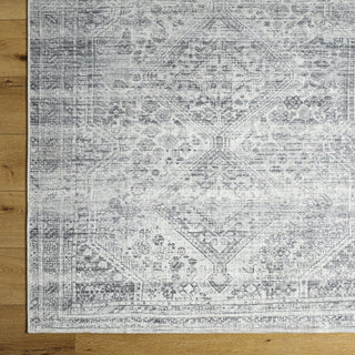 Livabliss Embrace EMA-2312 Area Rug