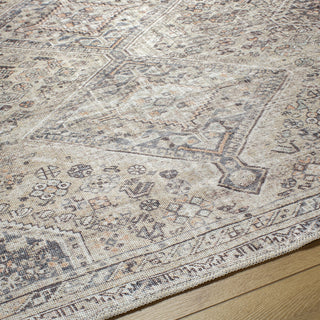 Surya Embrace EMA-2313 Area Rug