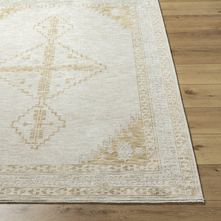 Livabliss Emory EMO-2301 Ash Area Rug