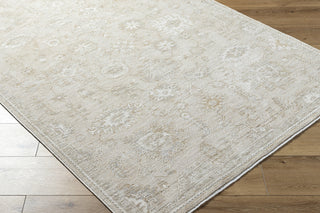 Livabliss Emory EMO-2306 Light Silver Area Rug