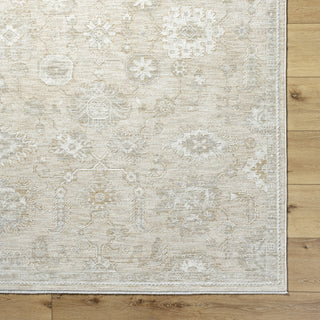 Livabliss Emory EMO-2306 Light Silver Area Rug