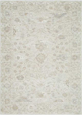 Livabliss Emory EMO-2307 Light Silver Area Rug