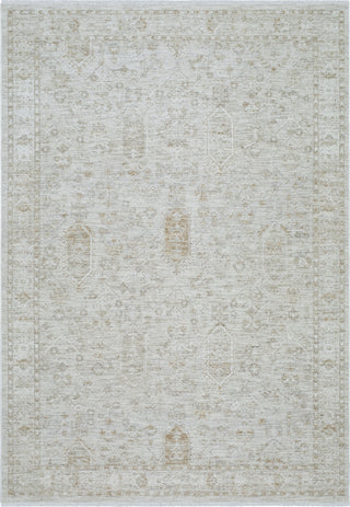 Livabliss Emory EMO-2308 Silver Area Rug