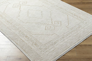 Livabliss Emory EMO-2309 Ash Area Rug