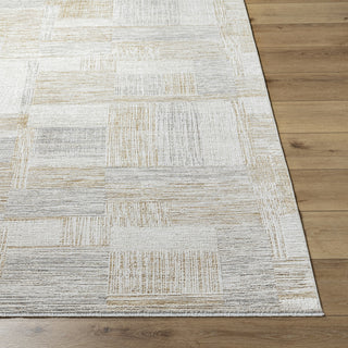 Livabliss Emory EMO-2311 Light Silver Area Rug