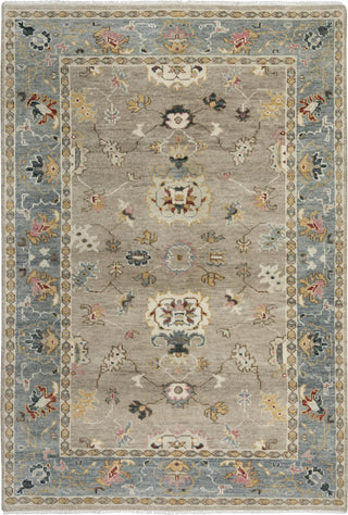 Rizzy Envision ENV963 Tan/Gray Area Rug