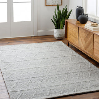 Surya Empoli EPO-2307 Area Rug Room Scene Feature