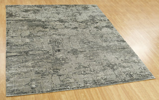 Ancient Boundaries Erikssen ERI-04 Area Rug Main Image