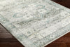 Livabliss Erin ERN-2319 Area Rug